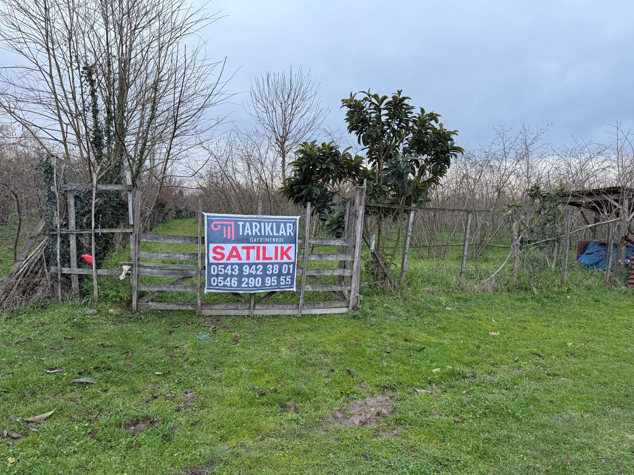 TARIKLAR GAYRİMENKUL (6)