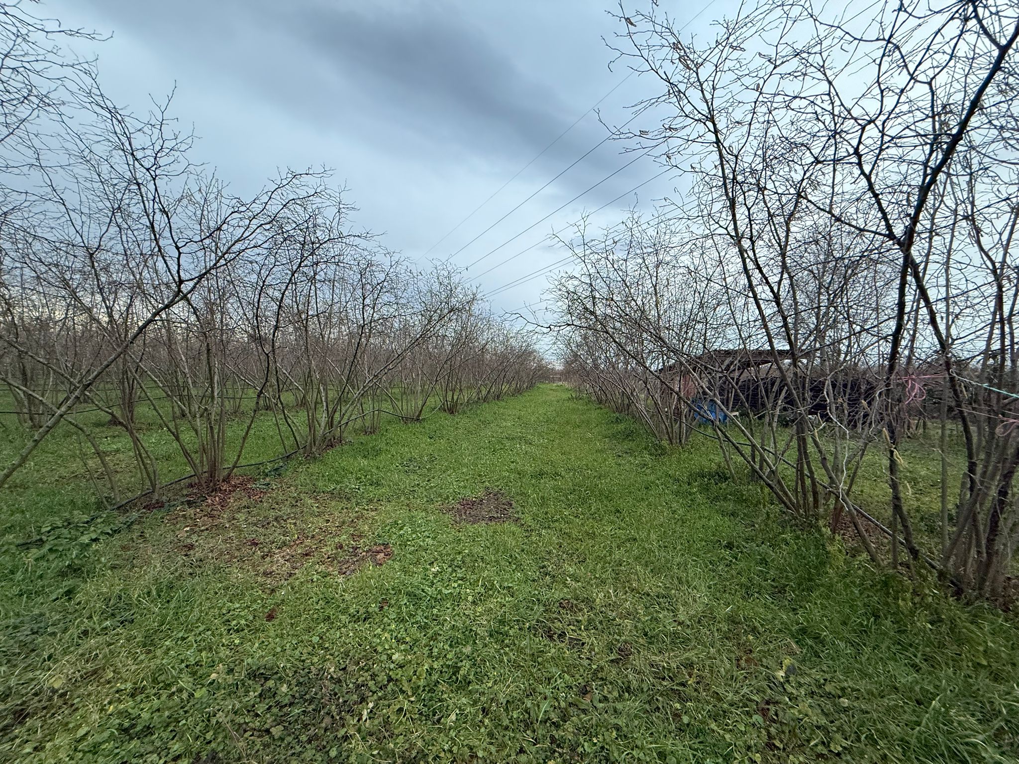 TARIKLAR GAYRİMENKUL (7)